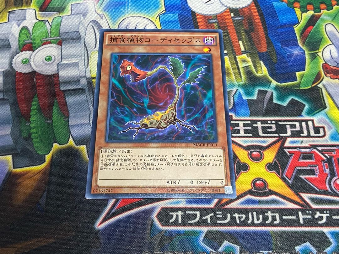 Y-4724 捕食植物コーディセップス ノーマル JP011 1枚