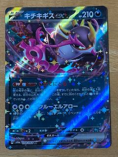 キチキギスex RR 038/064