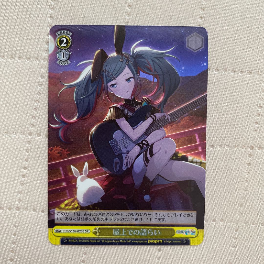 SR Rooftop Talking*. 1枚