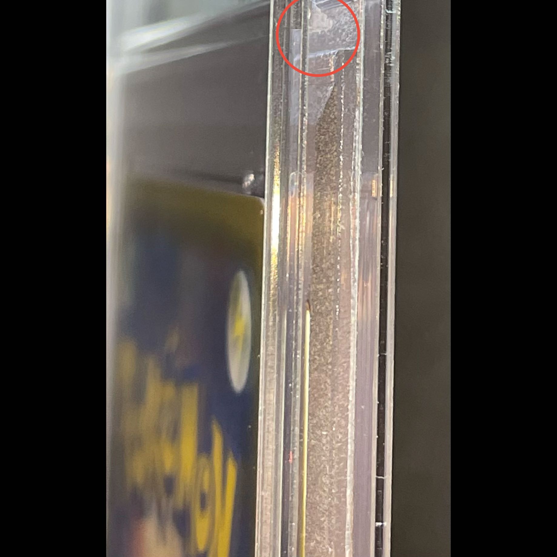 [PSA10] Jolteon VMAX (SA Spec)  Summer Pokémon Card PROMO 188/S-P 1枚