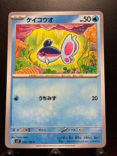 Rakurakudo] Pokeka Finneon