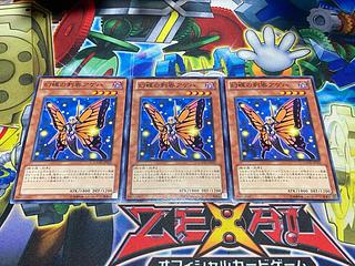 Y-3975 Swallowtail Butterspy Normal JP013 3枚