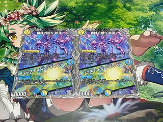 D-315 審絆の鎮り 新蓮｜ジャスティス・シェイパー(黒トレジャー) U T4/T10 2枚