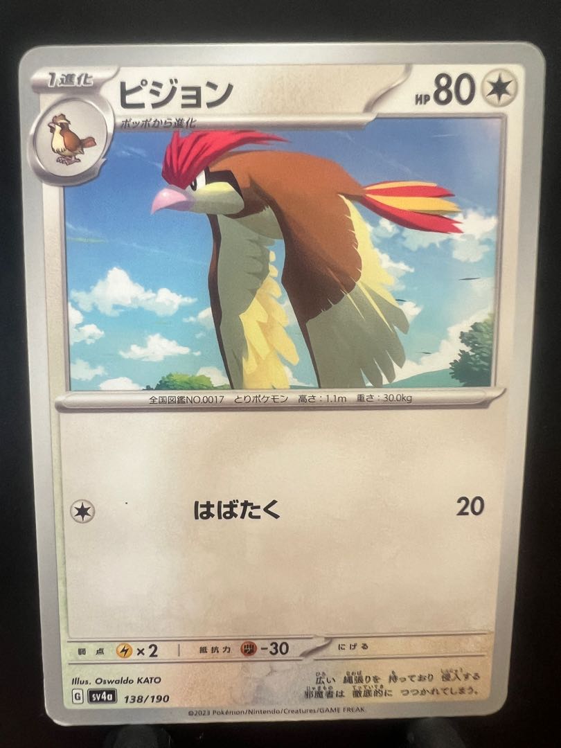 【楽々堂】ポケカ ピジョン