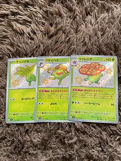 ナゾノクサ　クサイハナ　ラフレシア　進化ライン　色違い 3枚