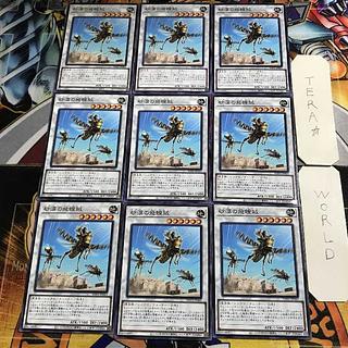 Desert Locusts WPP1 1 Normal, set of 9 Tera.