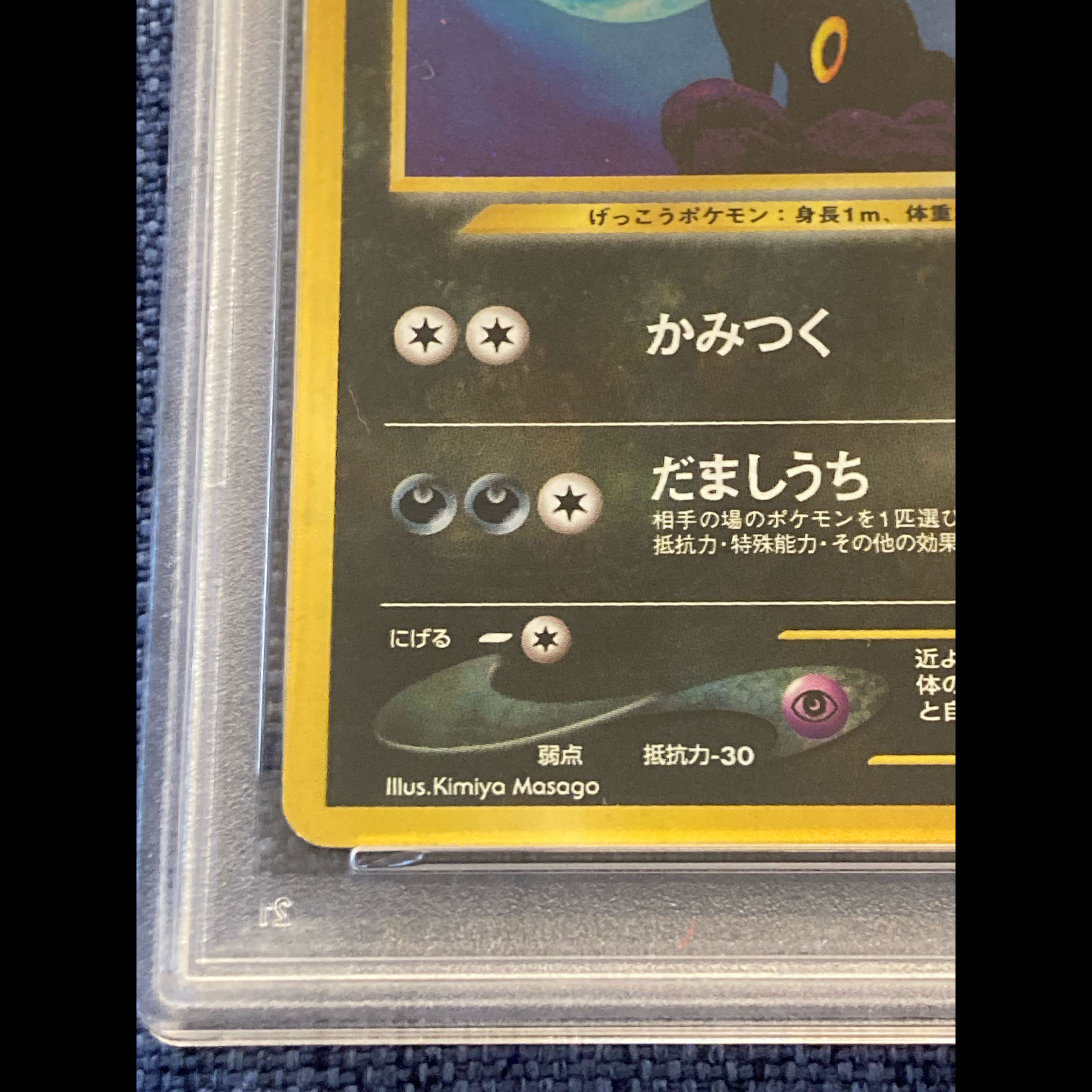 ブラッキー 旧裏 PSA6 鑑定付き 遺跡をこえて… 1枚