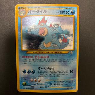 Feraligatr Premium File Kira Old Back 1枚