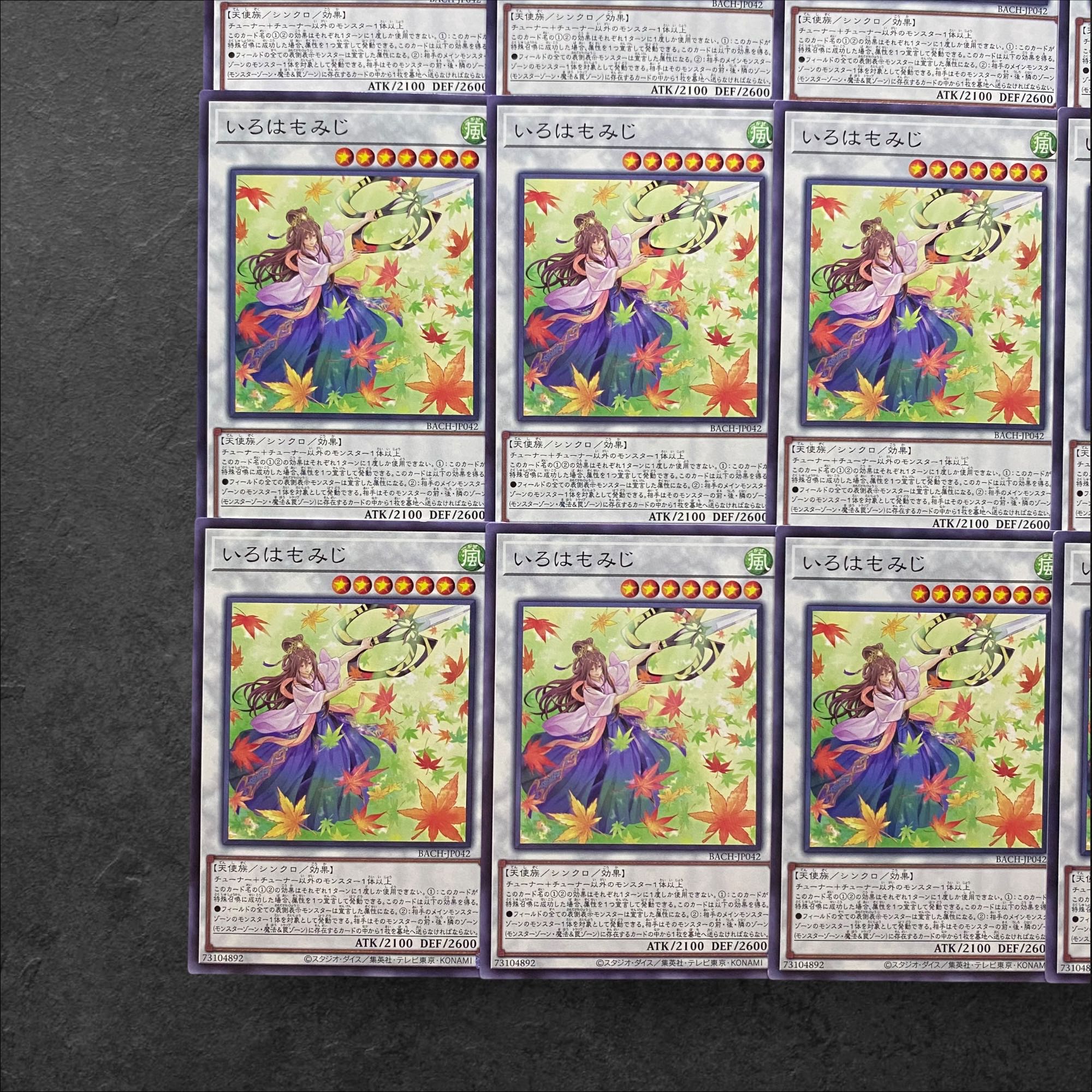 5699 [King of Games] Iroha Momiji 12-card set 12枚