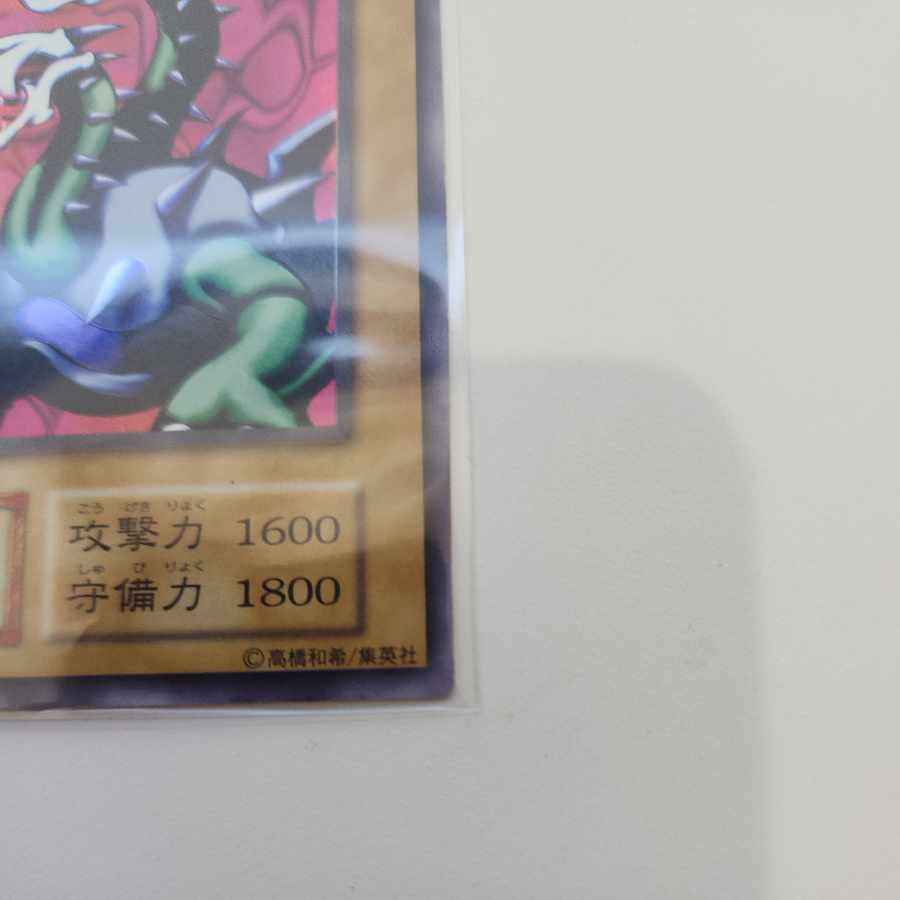 ヤマドラン 初期 ウルトラレアシークレットレア 1枚