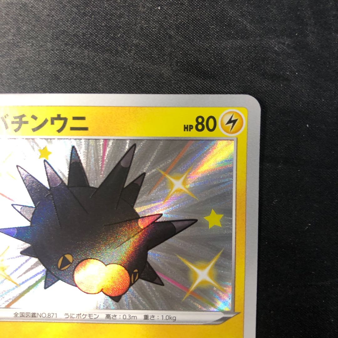 バチンウニ S 242/190 1枚