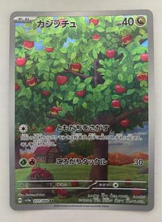 カジッチュ　AR 1枚