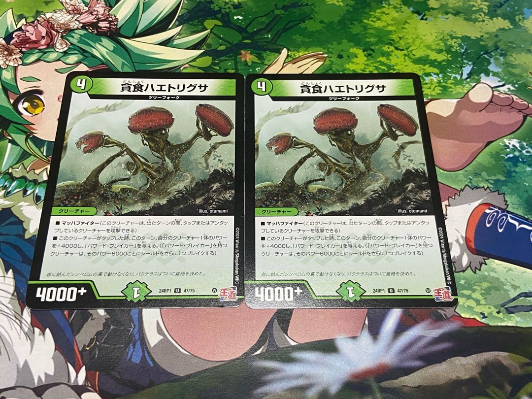 D-174 貪食ハエトリグサ U 47/75 2枚