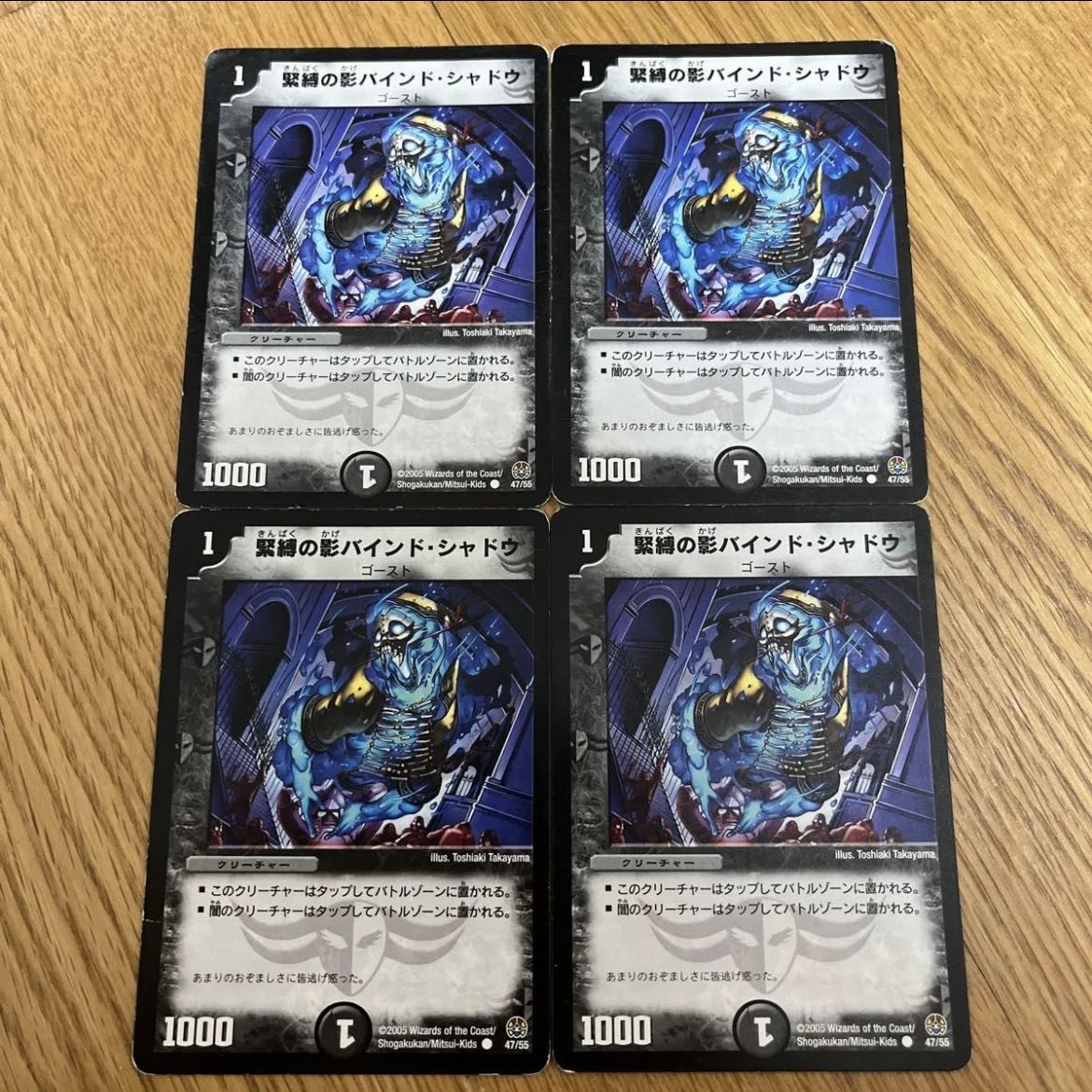 Shadow bound shadow of bondage C 47/55 1枚