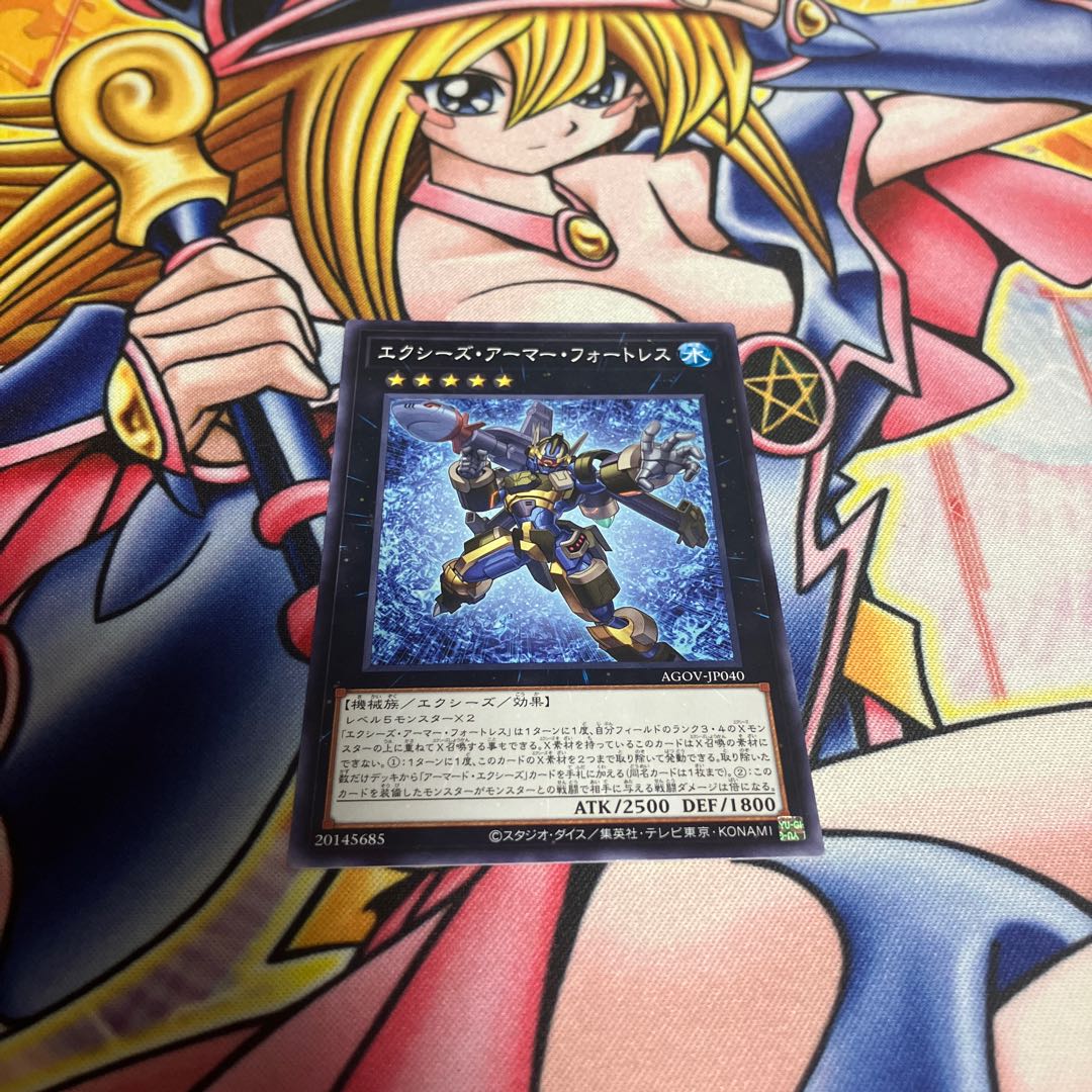 エクシーズ・アーマー・フォートレス ノーマル JP040 1枚