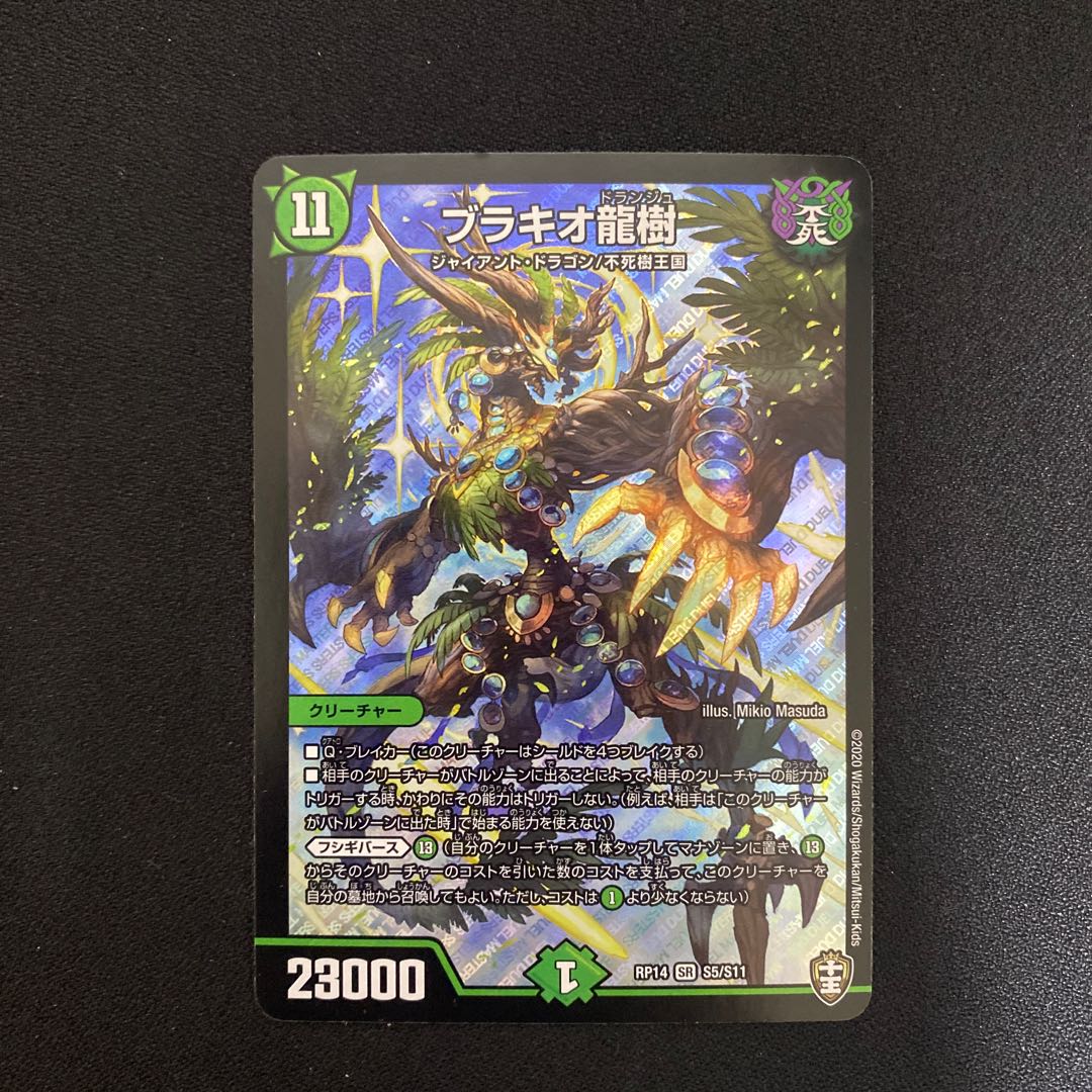 Ryuki Brachio SR S5/S11