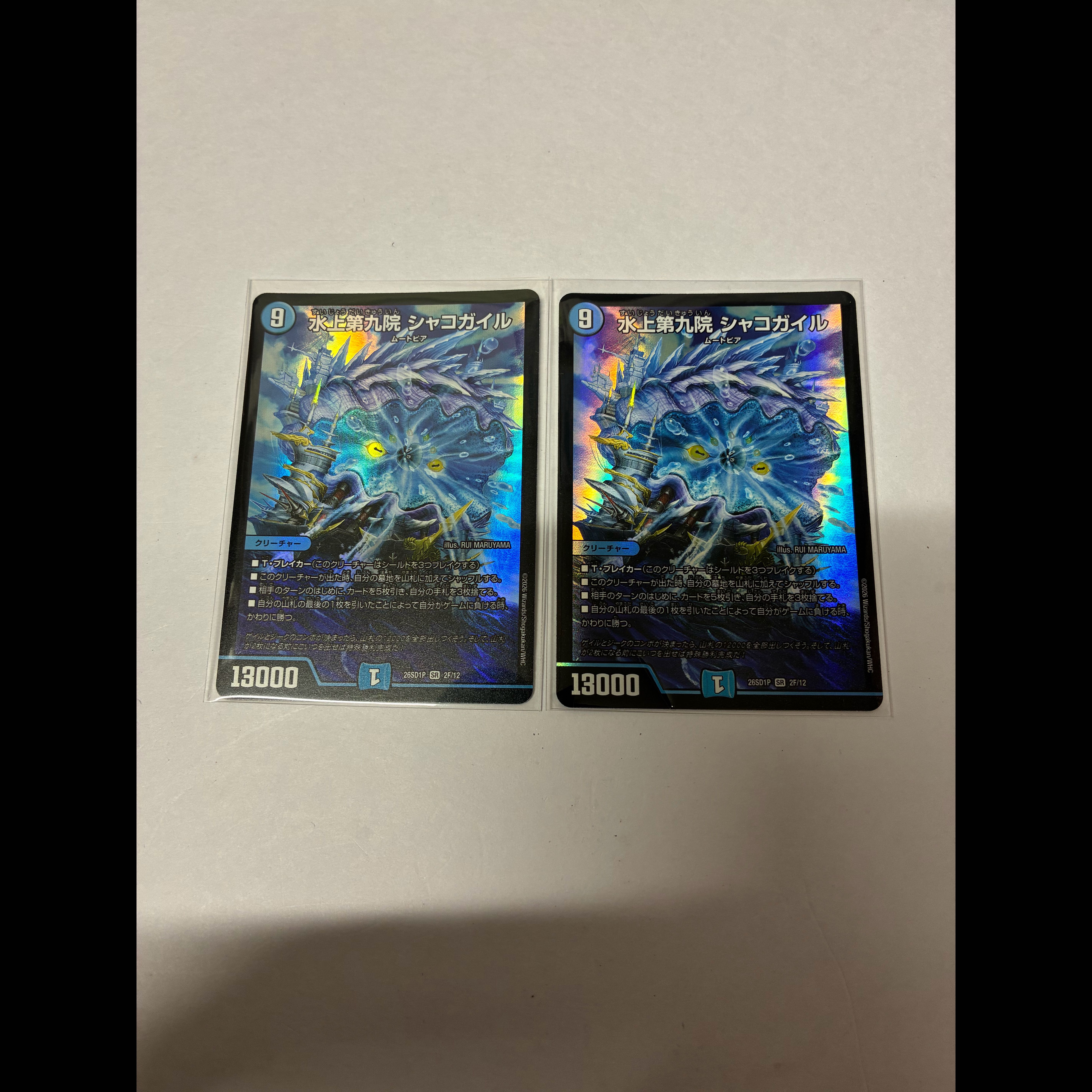 Water Upper Ninth Court: Shakogail SR 18/98 2枚