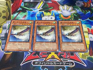 Y-3929 霞の谷の大怪鳥 ノーマル 3枚