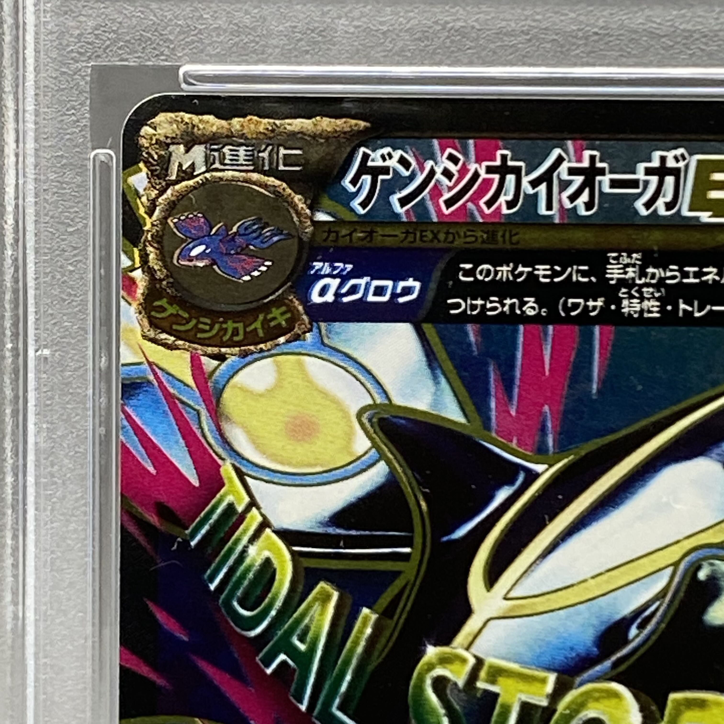 PSA10】ゲンシカイオーガEX SR 073/070の通販 magi公式ショップ(委託 