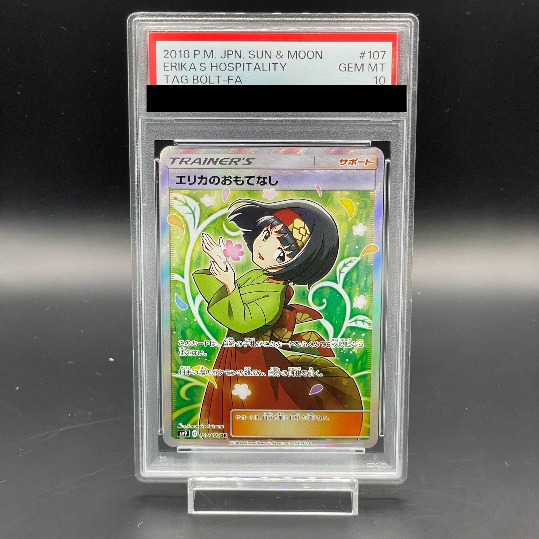 [PSA10] Erika's Hospitality SR 107/095