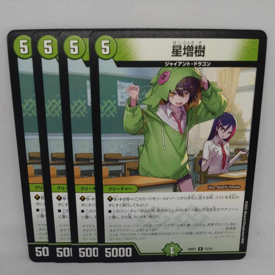 star anise (Illicium verum) 1枚