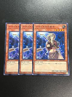 アマゾネスの射手