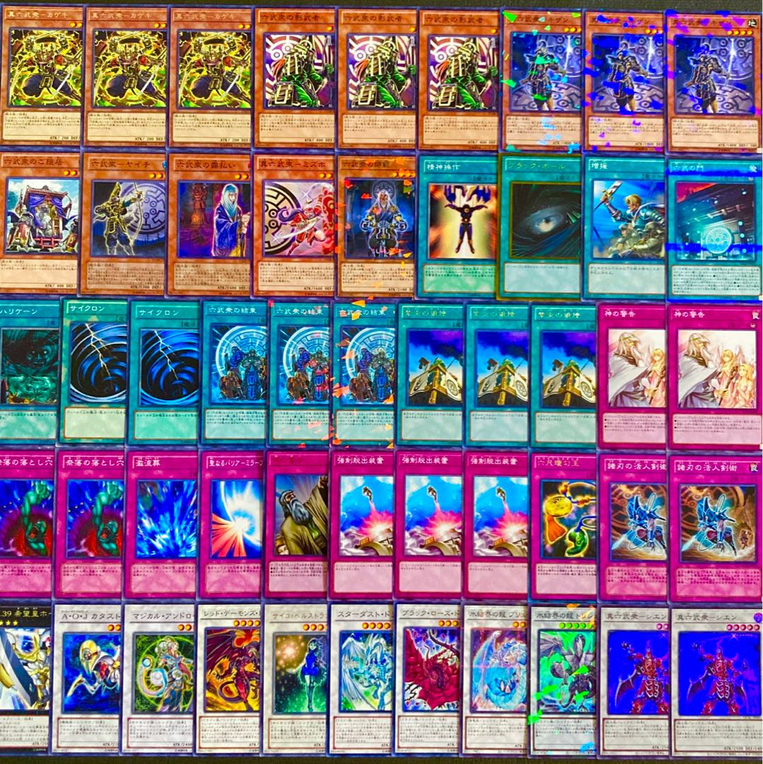 Yu-Gi-Oh [1103 Environment! 40 cards of Rokubutsu Deck