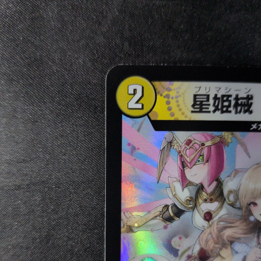 Seihiki Kikai Ernadonna R-foil PR2/PR60 1枚