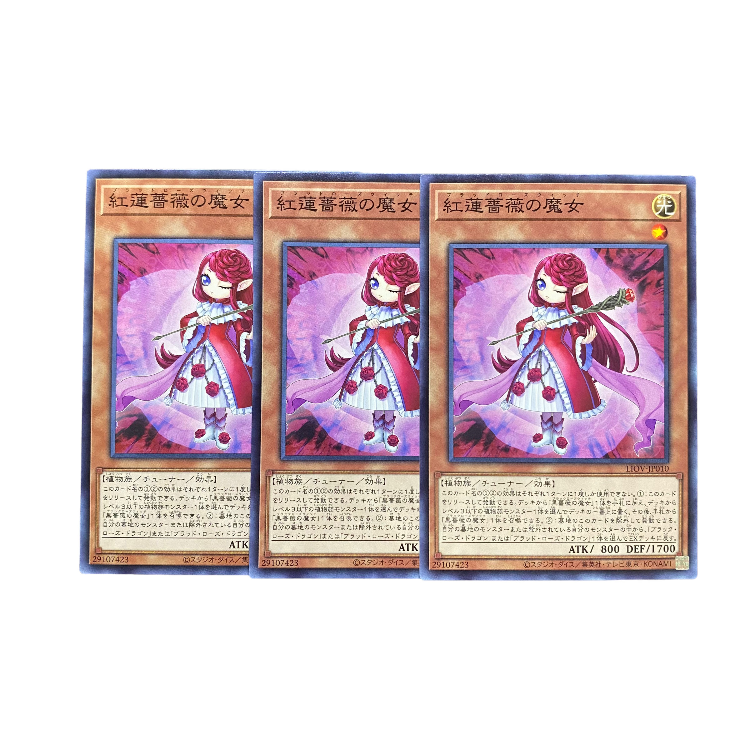 4621【ワンピース】紅蓮薔薇の魔女　3枚セット 3枚