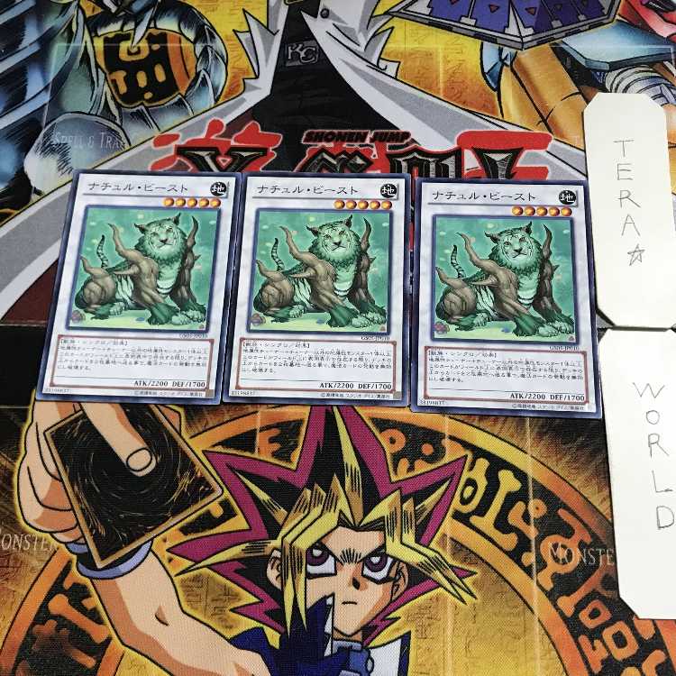 Muddy Mudragon EP19 1 Normal, set of 3 Tera.