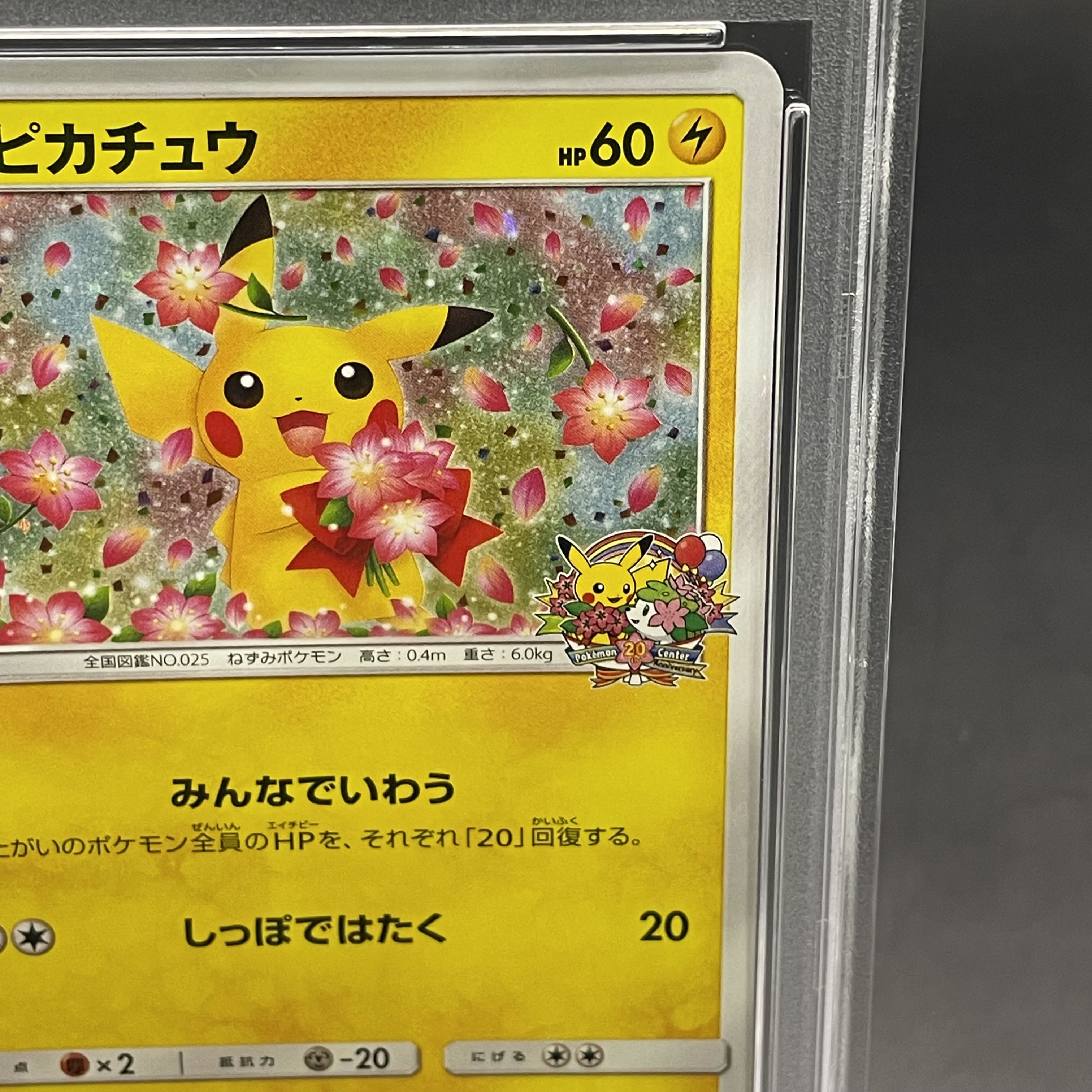 【PSA10】ピカチュウ PROMO 224/SM-P