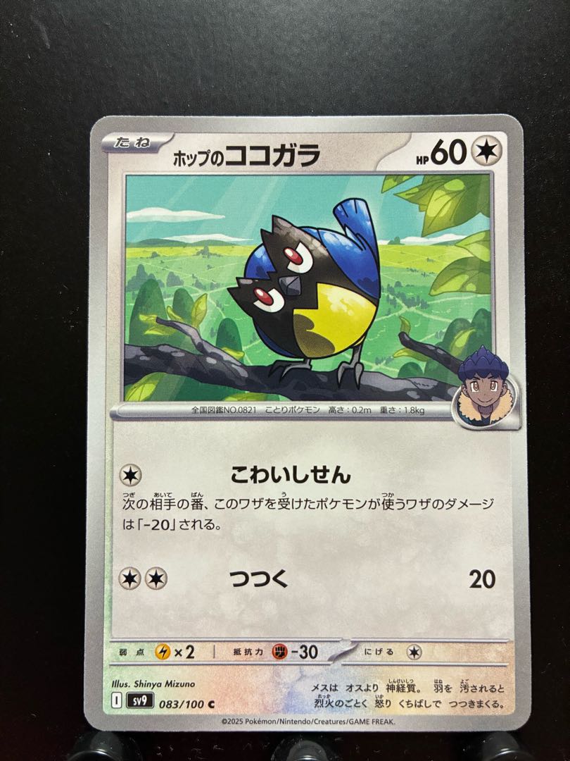 Rakurakudo] Pokeka Hop's Rookidee