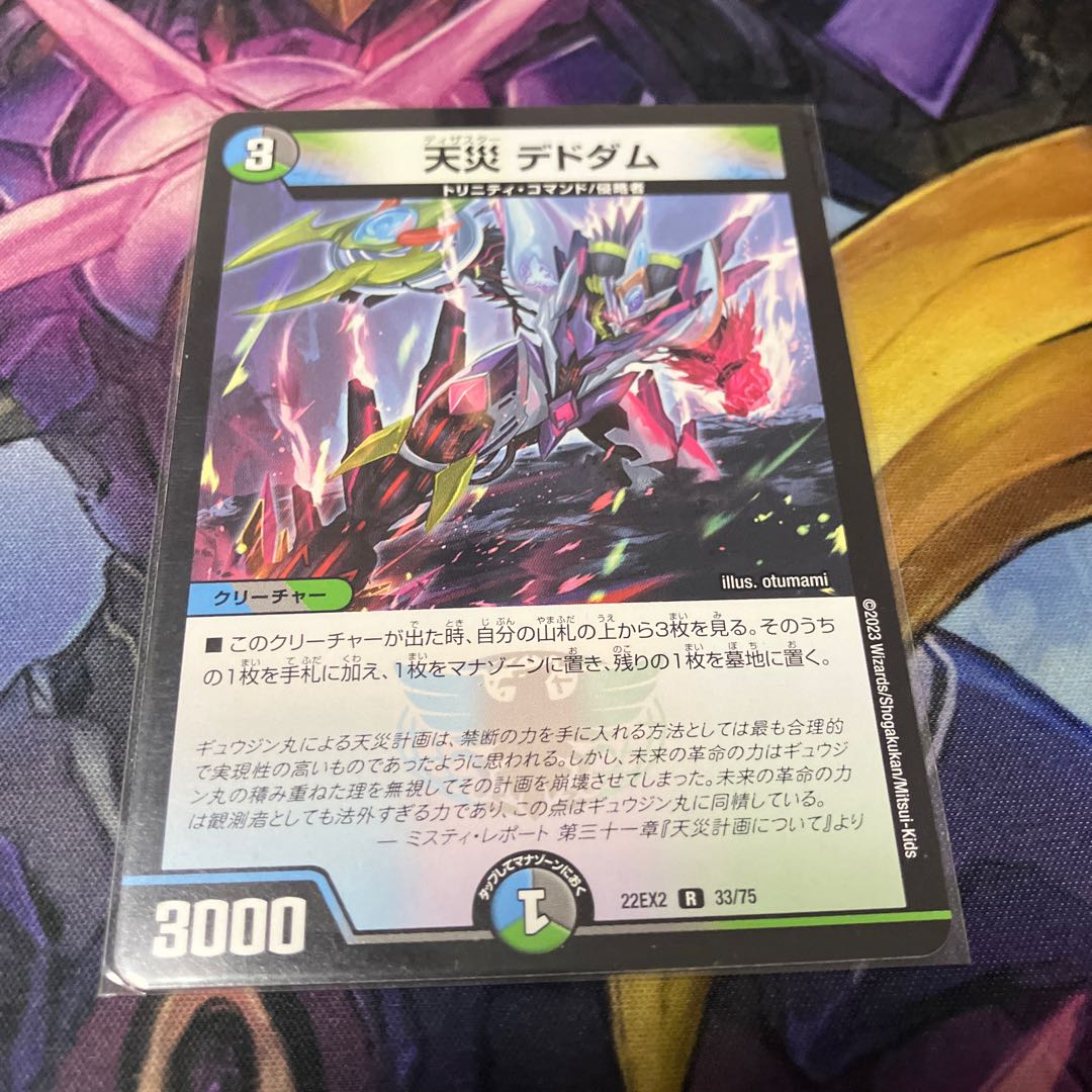 天災 デドダム R 33/75