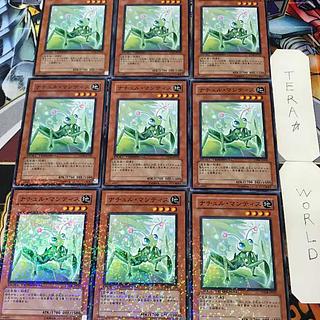1 Duel Terminal, Effect, Set of 9, Tera. 9枚
