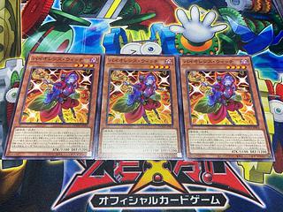 Y-2412 バイオレンス・ウィッチ ノーマル DOOD-JP004