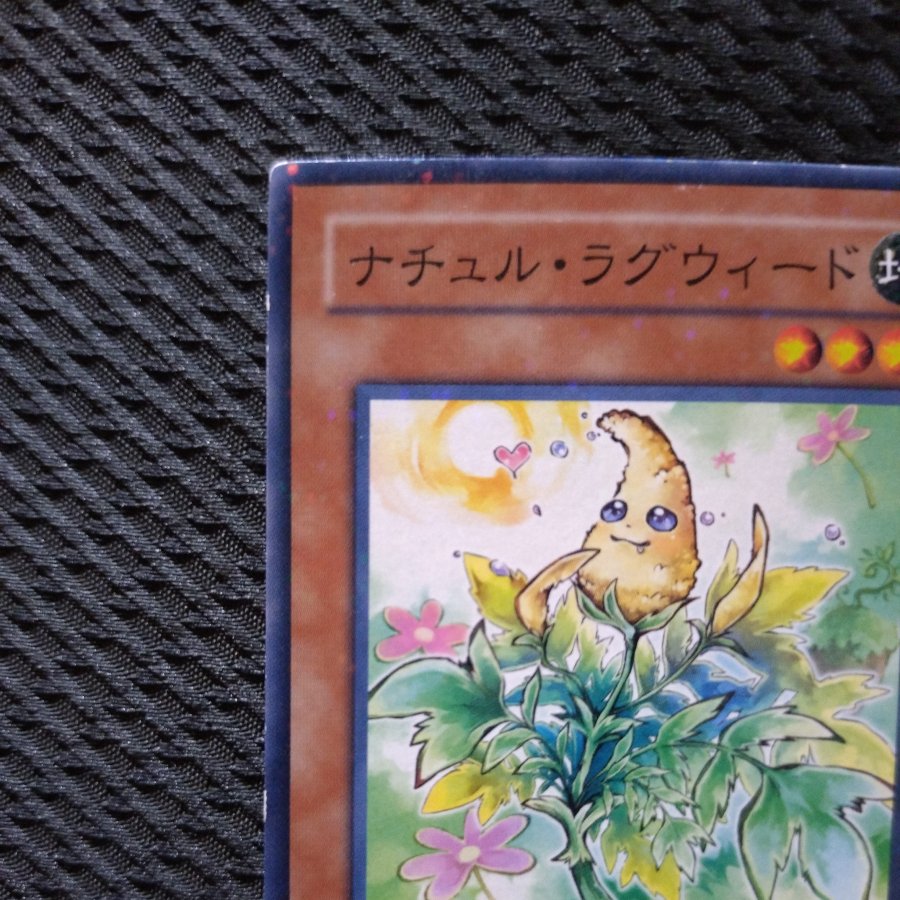 【ぽぽたん】遊戯王  4618  ナチュル・ラグウィード ノーマル  1枚