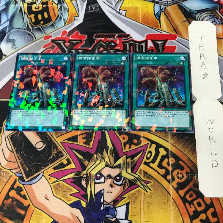 捕食接ぎ木 SPFE 5 ノーマルパラレル 魔法 3枚セット てら 3枚