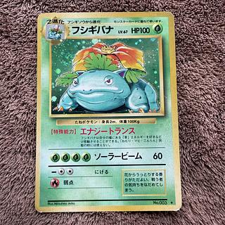 Vulva Holo with mark Old Back