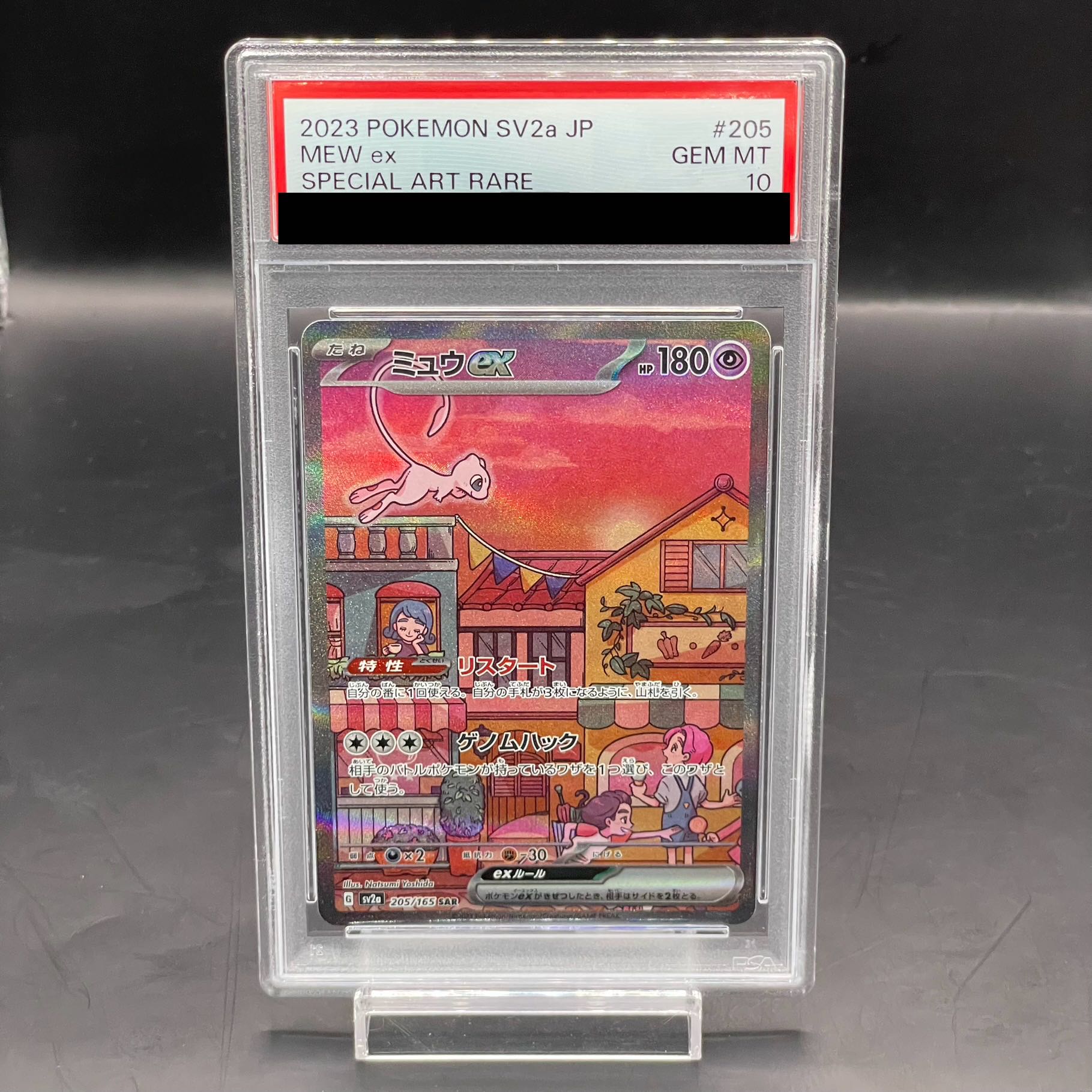 PSA10] Mewex SAR 205/165