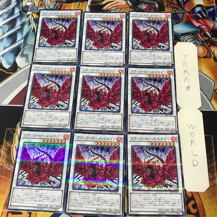 ブラック・ローズ・ドラゴン 4 ノーマルパラレル 9枚セット てら