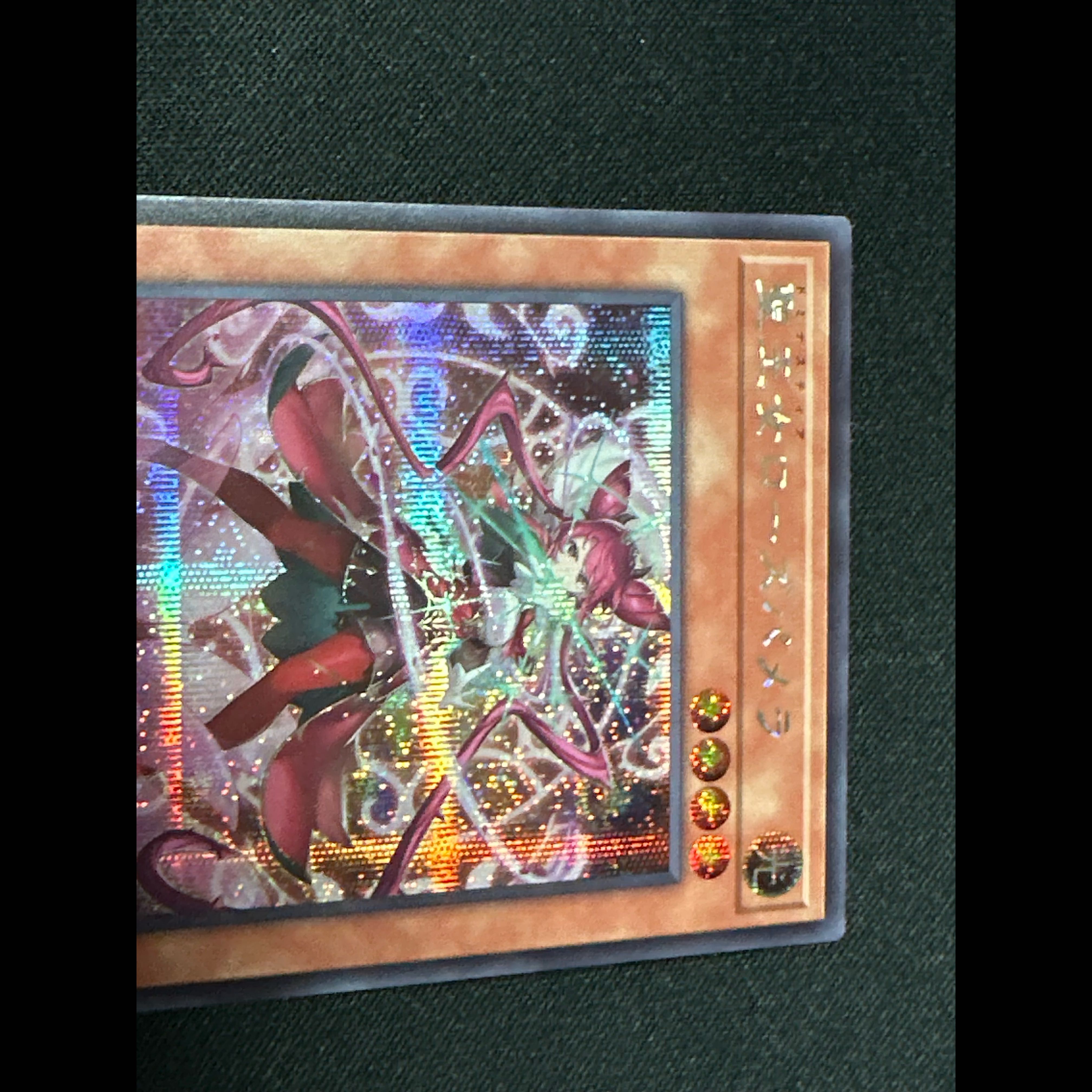 Dominastia Holy Princess Rose Pamela - Secret Rare UT01-JP008 1枚