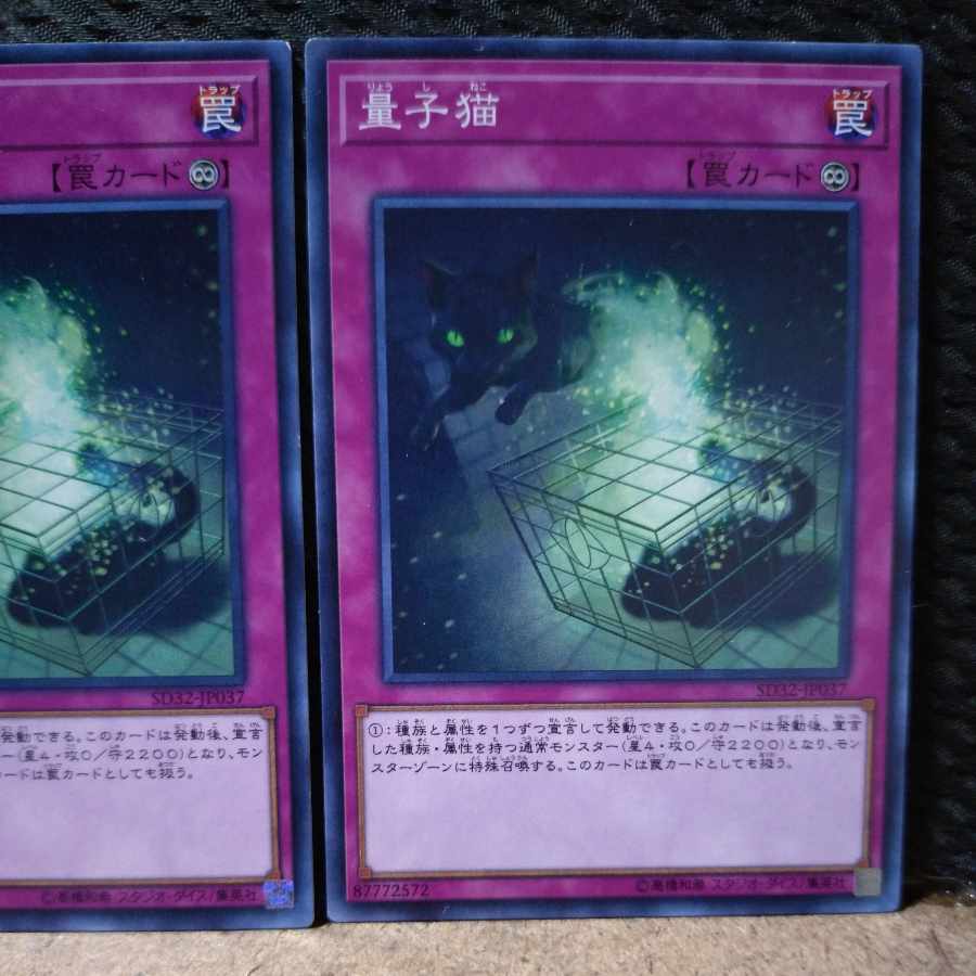 【ぽぽたん】遊戯王  4028  量子猫 ノーマル  2枚 2枚