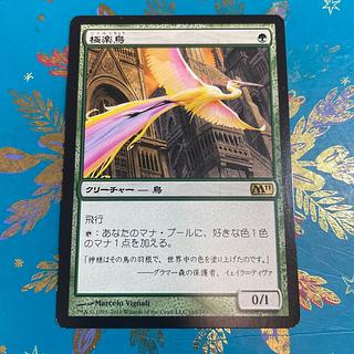 極楽鳥 M11 MTG 日本語