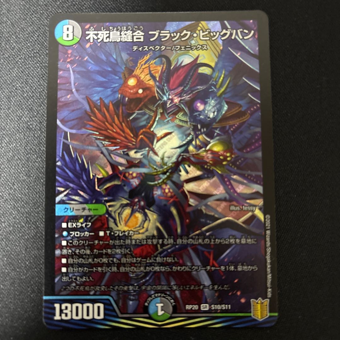 不死鳥縫合 ブラック・ビッグバン SR S10/S11