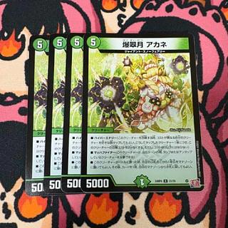 アカネ」の激安通販 | magi アカネ」の激安通販 | magi