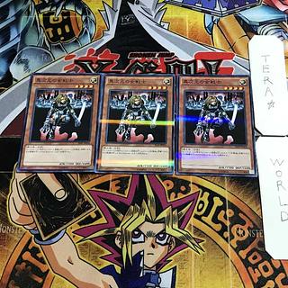 異次元の女戦士 20AP 9 ノーマルパラレル 3枚セット てら