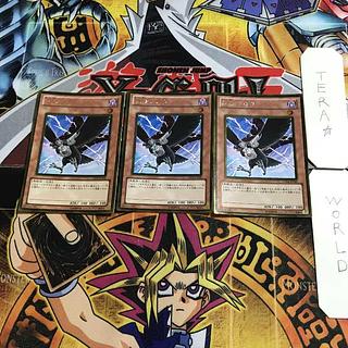 D.D. Crow 1 gold, set of 3 tera