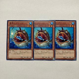 Nimble Angler Normal JP031