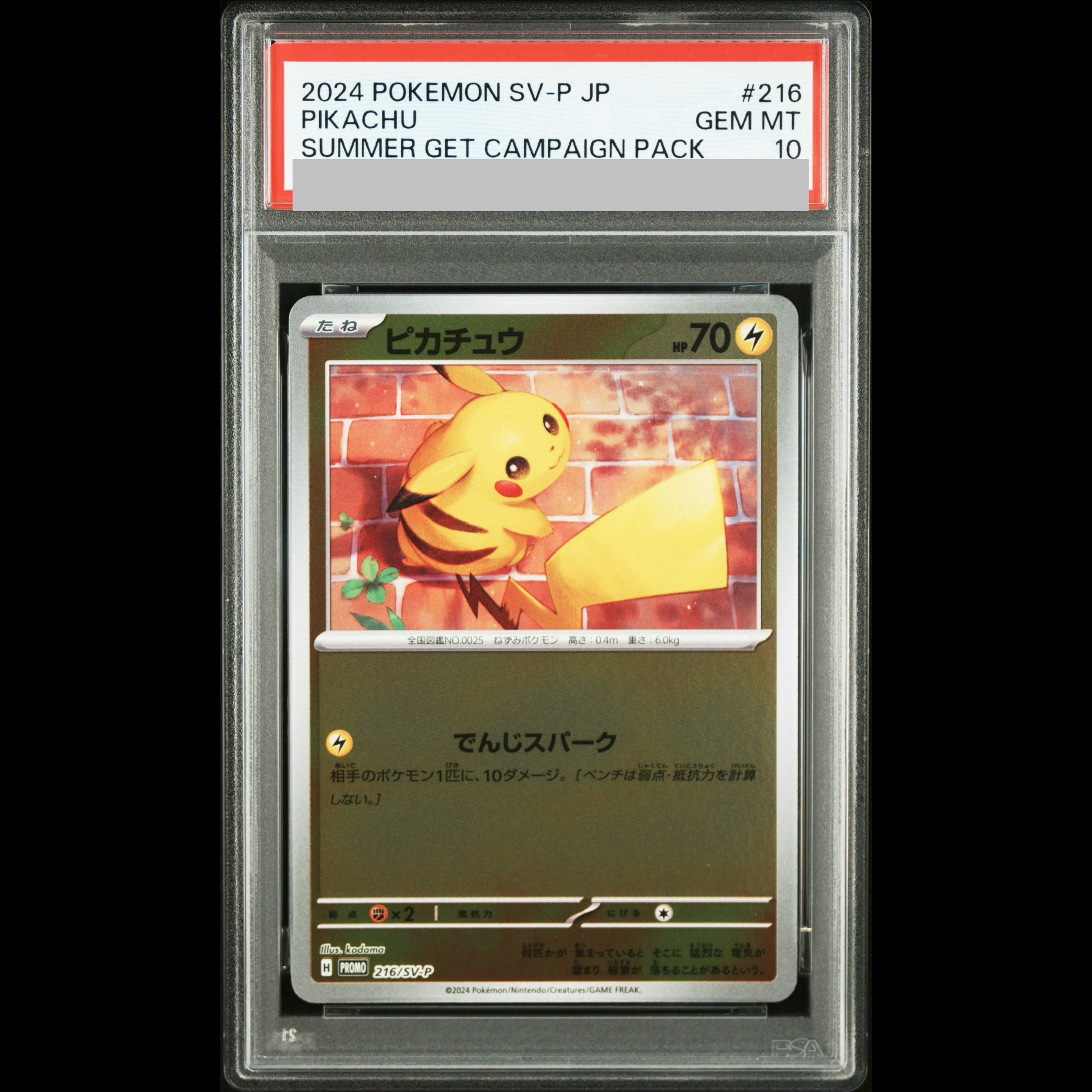 PSA10】ピカチュウ PROMO 216/SV-P 1枚の通販 土日祝休@magi公式