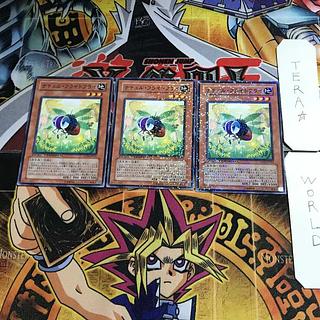 ナチュル・フライトフライ DT06 5 デュエルターミナル 3枚セット てら